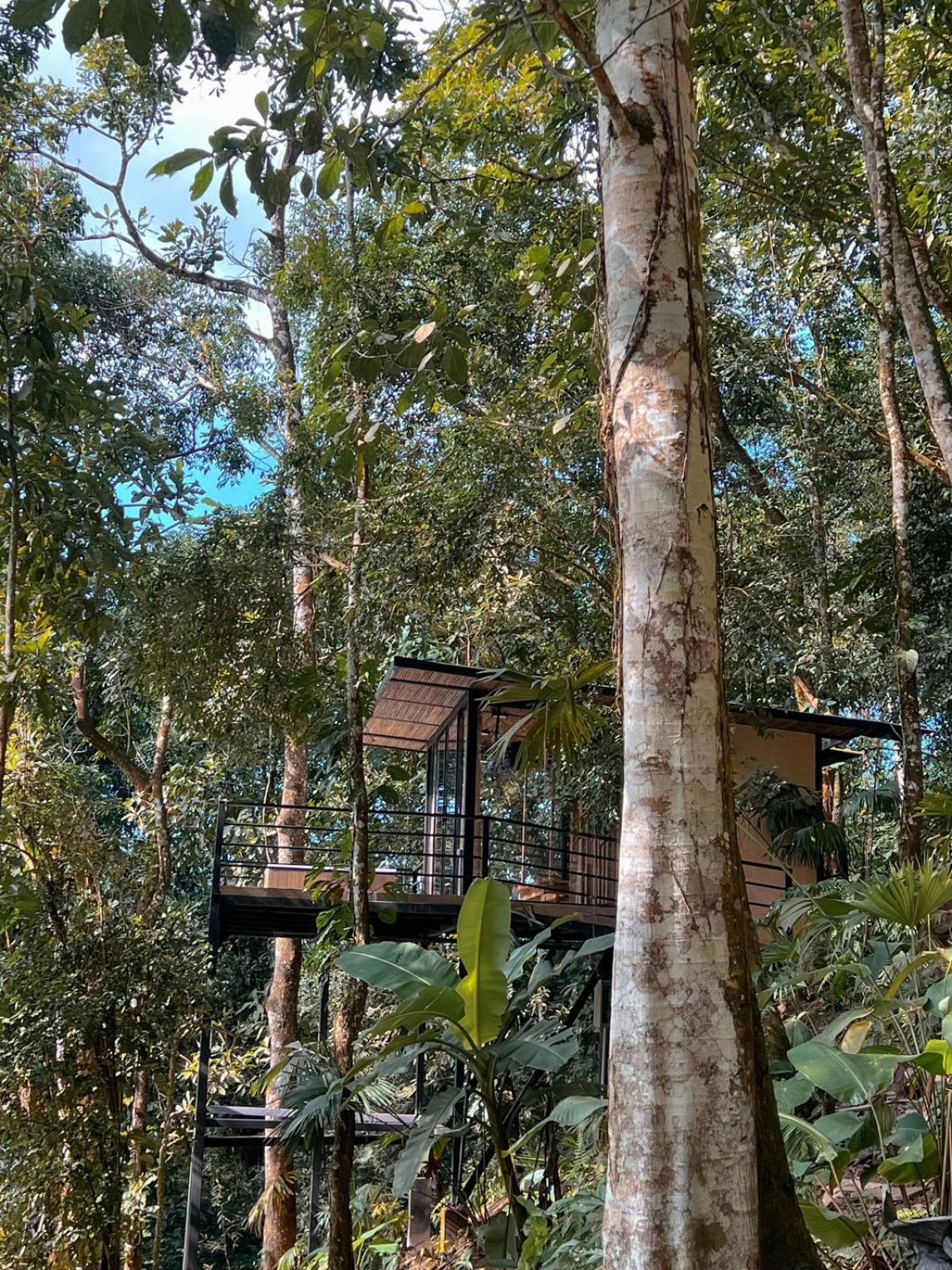 Hotel Rincon De La Sierra Minca